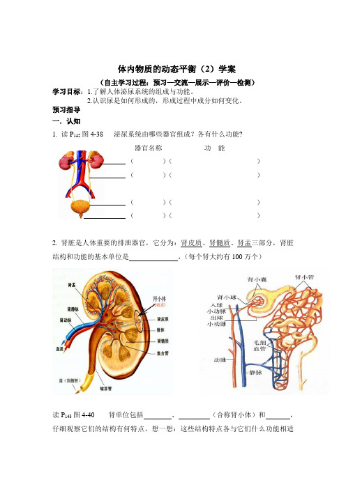 浙教版科学九上体内物质的动态平衡word学案