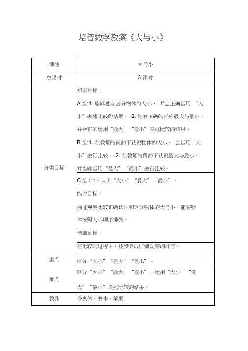 培智学校实用数学第一册《大与小》教案