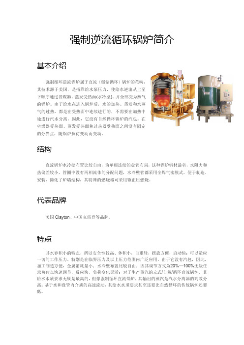 强制逆流循环锅炉简介