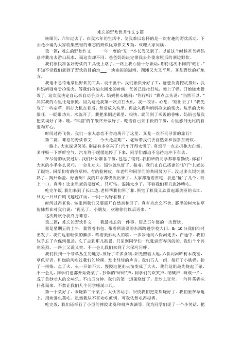 难忘的野炊优秀作文5篇