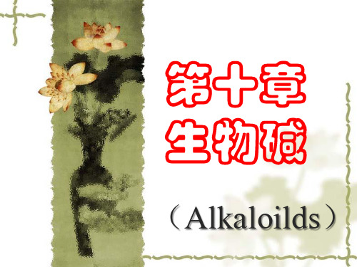 中药化学：第十章 生物碱
