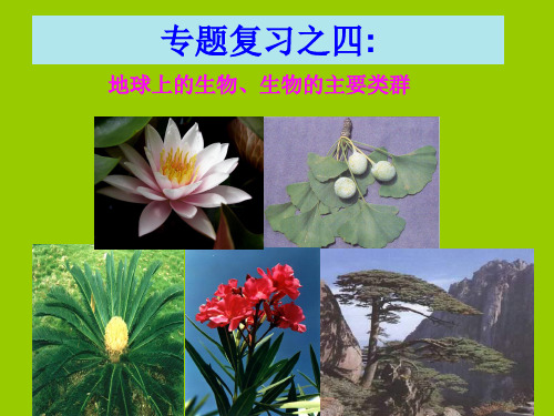 七年级科学--专题复习之四地球上的生物生物的主要类群(华师大版)