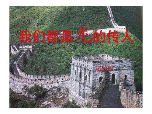 我们都是龙的传人