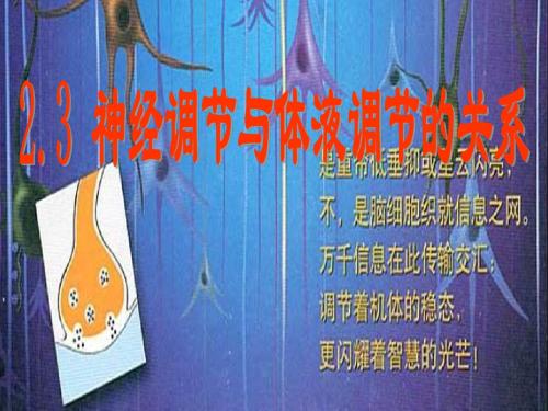 体液调节与神经调节的关系---省级示范性高中所用教学课件