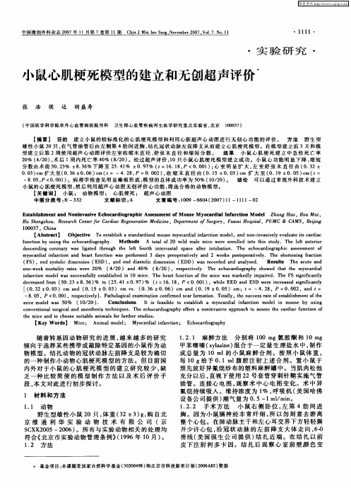 小鼠心肌梗死模型的建立和无创超声评价