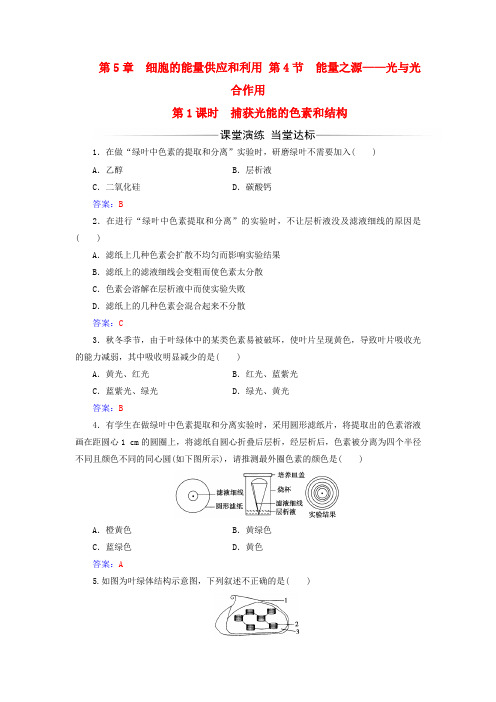 高中生物 第5章 细胞的能量供应和利用 第4节 捕获光能的色素和结构(第1课时)练习 新人教版必修1