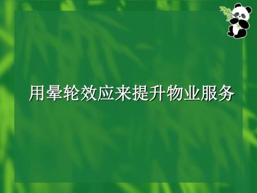 用晕轮效应来提升