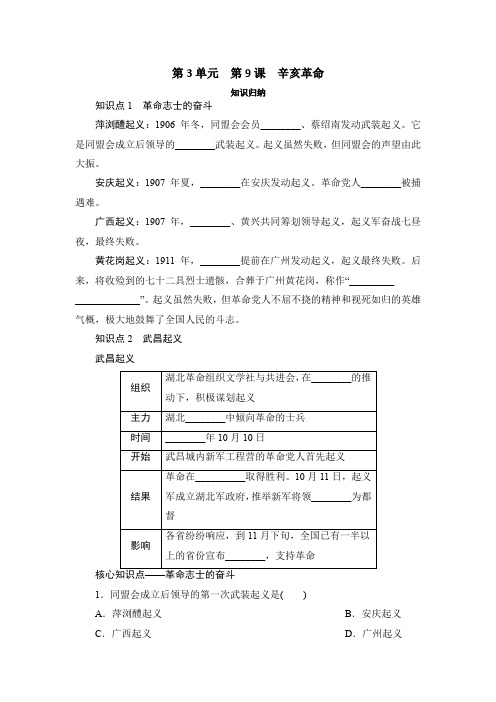 2021年部编历史八年级上  第3单元  第9课 辛亥革命