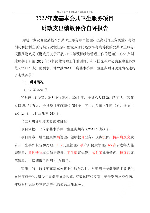 基本公共卫生服务项目绩效评价报告