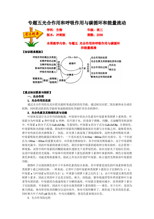 专题五光合作用和呼吸作用与碳循环和能量流动