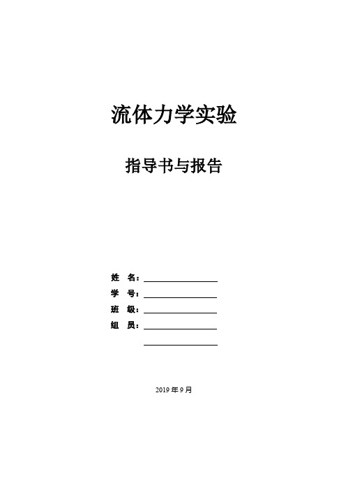 流体力学实验报告(建能)