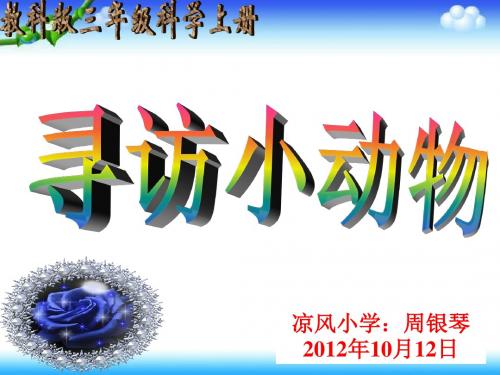 教科版科学三上《寻访小动物》PPT课件101