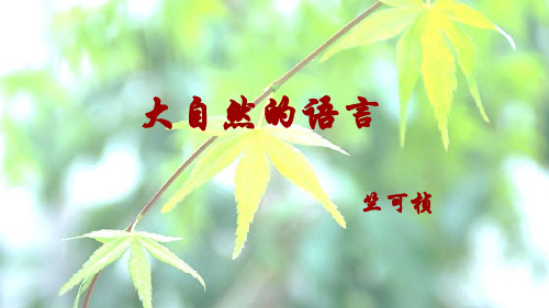 5《大自然的语言》精品课件—2021学年八年级语文[下册]部编版