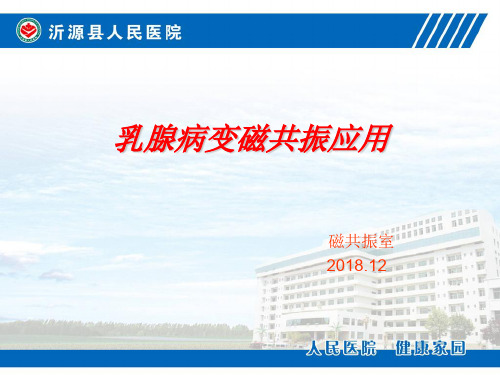 乳腺病变磁共振检查应用