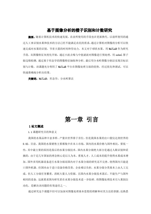 基于图像分析的橙子识别和计数研究