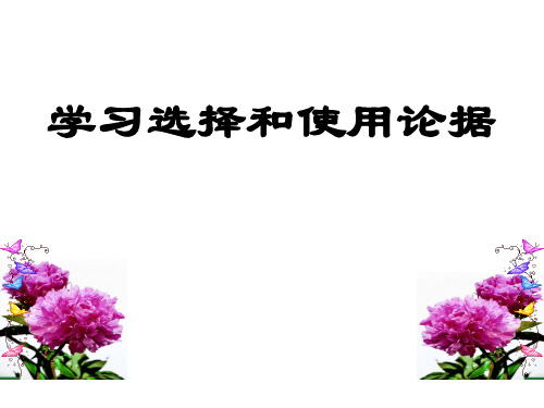 论据使用