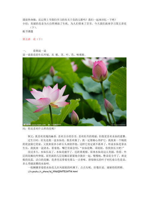 小学一二年级作文文学思维训练营14讲课件+教案 35元第五讲  花zz