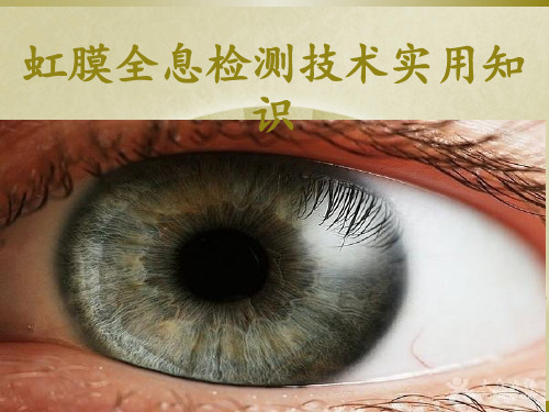 虹膜全息检测技术实用知识