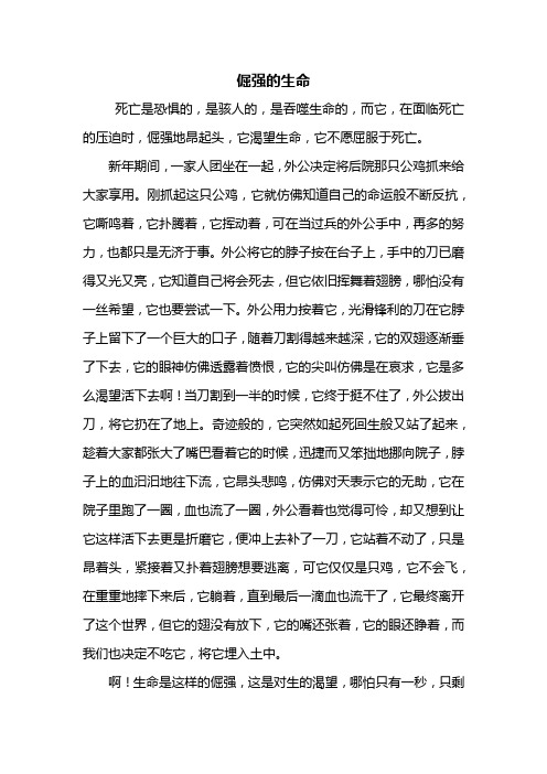 初二作文：倔强的生命作文600字