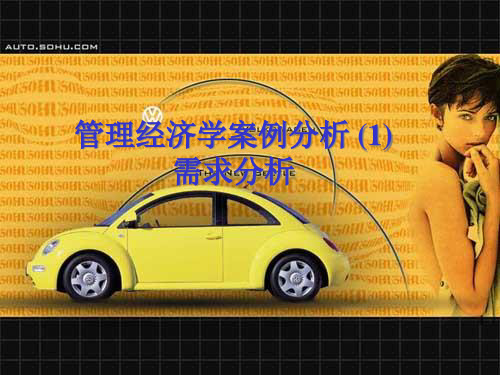 管理经济学案例分析 (1)需求分析