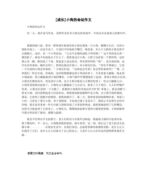 [成长]小狗的命运作文