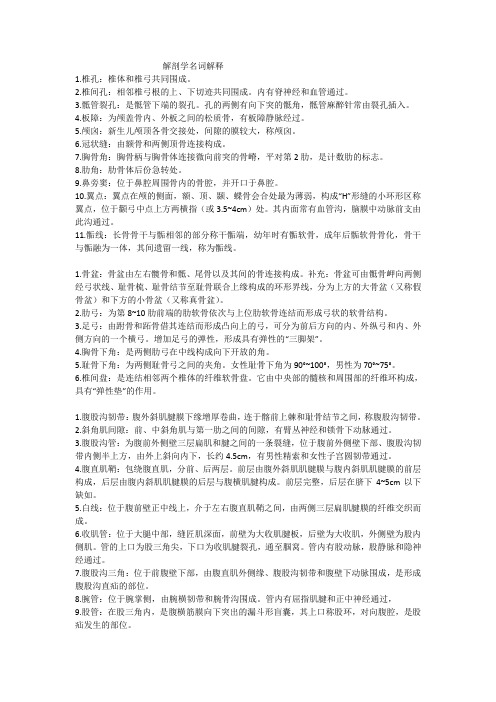 解剖学名词解释(1)