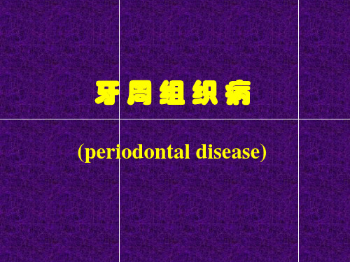 牙周组织病 PPT