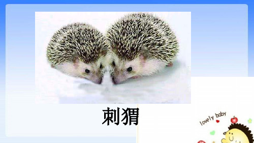 部编人教版—三年级上册 语文- 带刺的朋友精品课件 