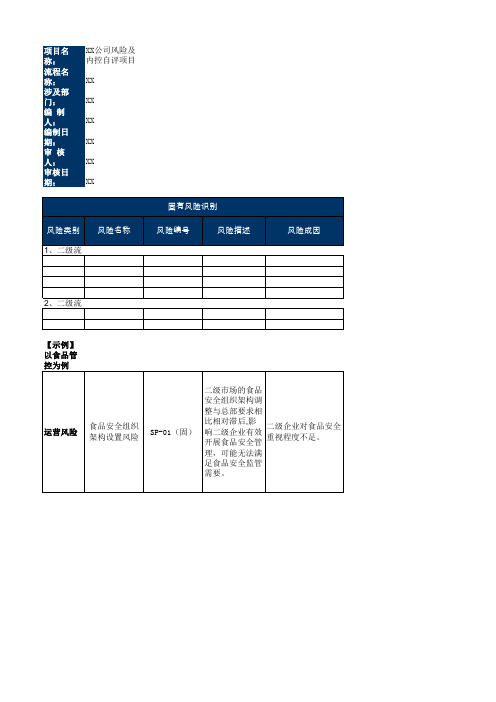 风险控制矩阵模板(2018年版)