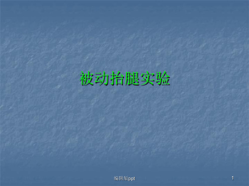 被动抬高腿实验 ppt课件