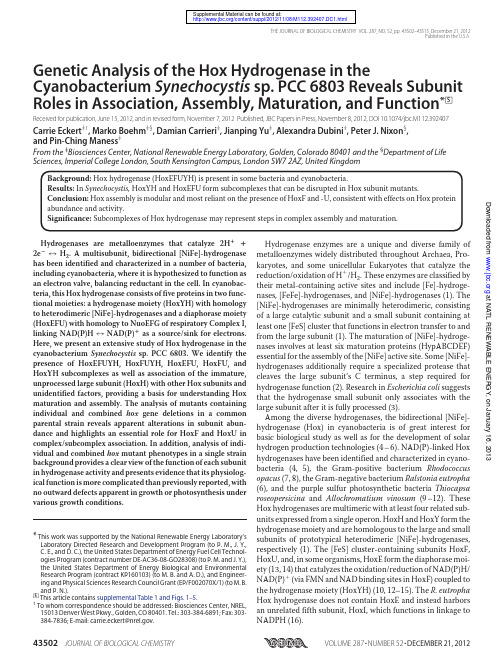 FluorCam叶绿素荧光成像文献 2012 Genetic Analysis of the Hox Hydrogenase