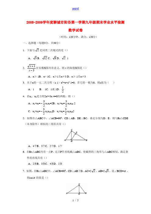 山东省聊城市阳谷2008-2009学年度九年级数学第一学期期末学业水平检测试卷华东师大版