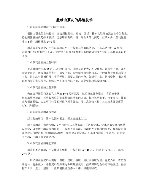 盆栽山茶花的养殖技术