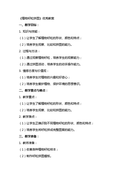 《植物籽粒拼图》教案