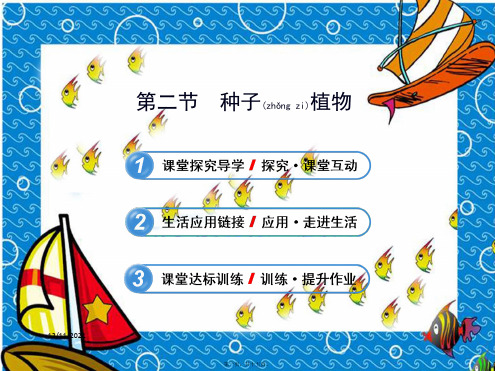 七年级生物上册 第一章 第二节 种子植物课件 