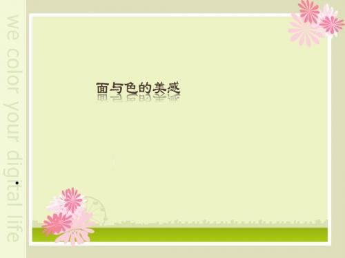 面与色的美感