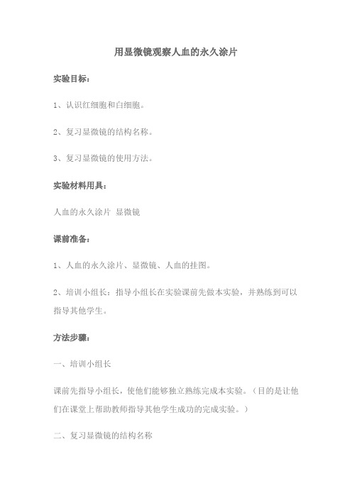 用显微镜观察人血的永久涂片