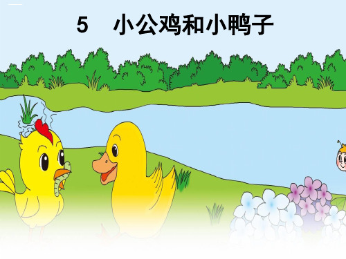 《小公鸡和小鸭子》优秀PPT——部编版小公鸡和小鸭子PPT优秀课件3