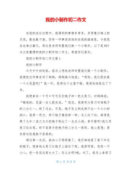 我的小制作初二作文