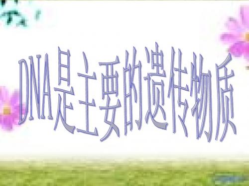 生物：3.1《DNA是主要的遗传物质》课件(新人教版必修2)