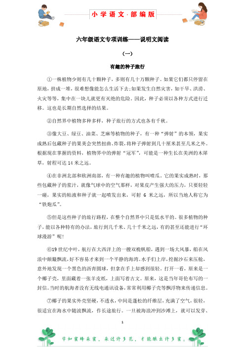 部编版语文六年级阅读理解专项训练——说明文阅读(含答案)