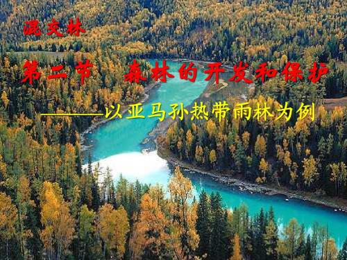 森林的开发和保护
