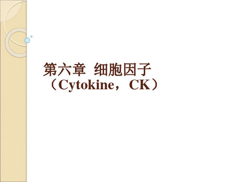 细胞因子