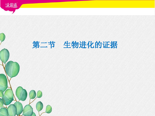 《生物进化的证据》课件 (高效课堂)2022年济南版生物八下