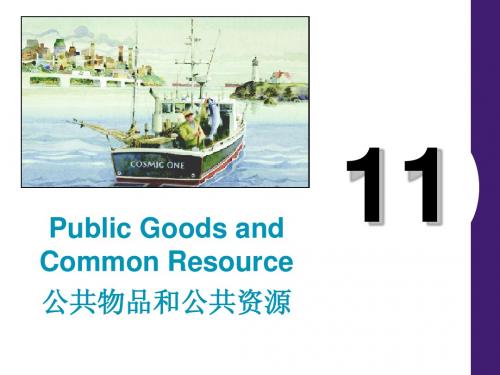 11 public_goods