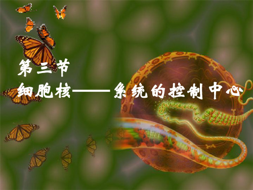 《细胞核—系统的控制中心》课件(人教版高中生物必修一第3章第3节)
