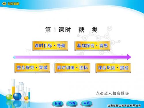 世纪金榜高中化学必修2课件3.4.1化学