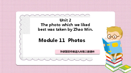 初中英语外研版九年级上册《Module11 Unit 2 》课件PPT