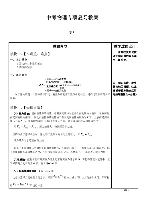2019北京中考物理专项复习教案复习专题2