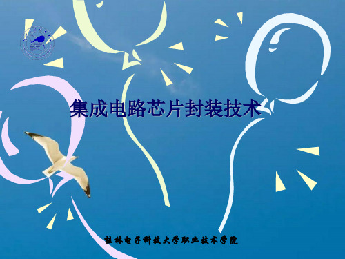 集成电路芯片封装讲座(1)ppt课件
